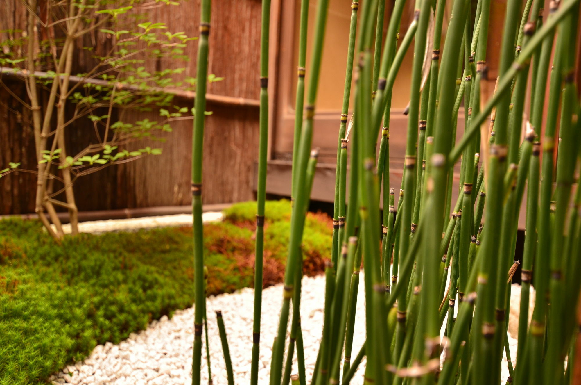 Grateful Hotel Quioto Exterior foto